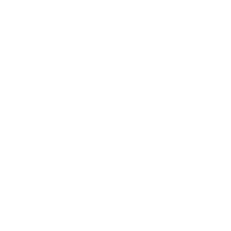 consultant شرکت بازرگانی هادی