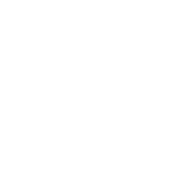 financial consultant شرکت بازرگانی هادی